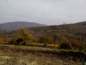 DSC00154