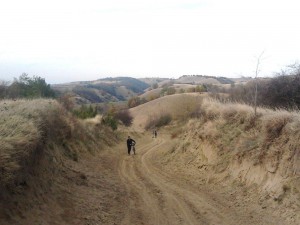 neki su gurali