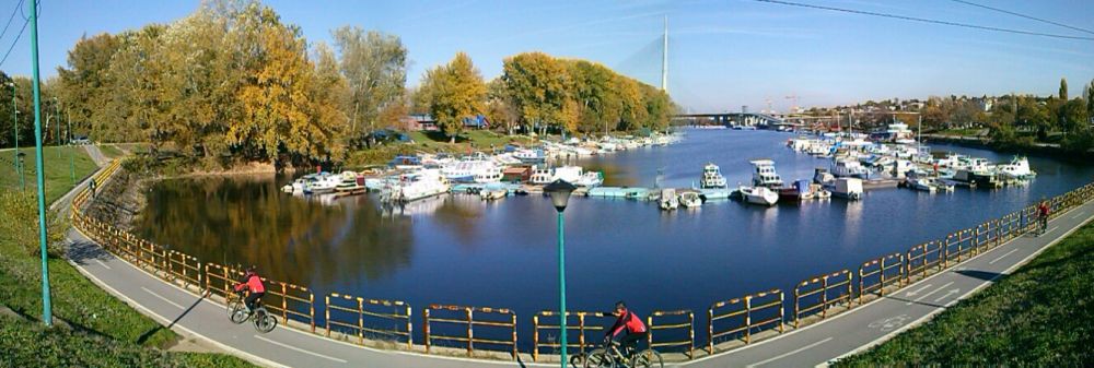 CAM00438