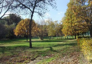Ada_DSCF8692-1