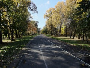 Ada_DSCF8679