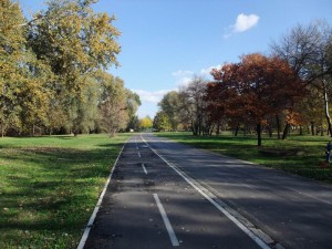 Ada_DSCF8689