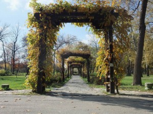 Ada_DSCF8701
