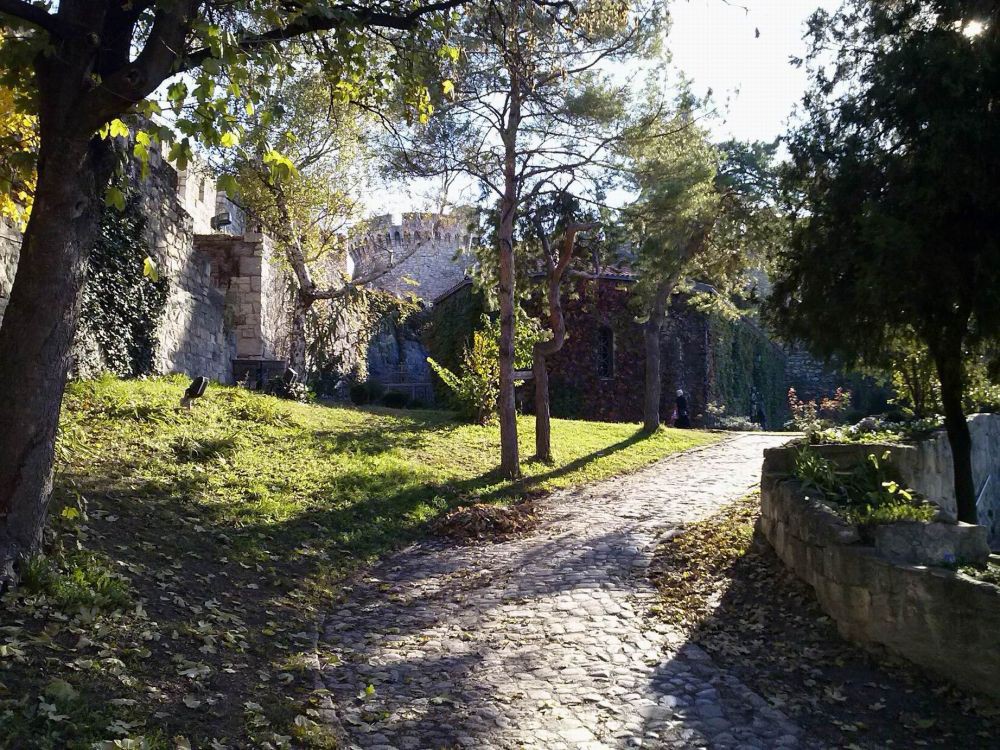 CAM00447