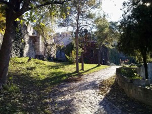 CAM00447