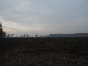 DSCN4609_resize