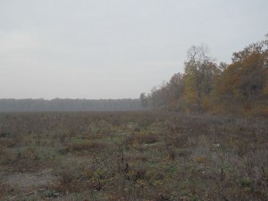DSCN4610_resize