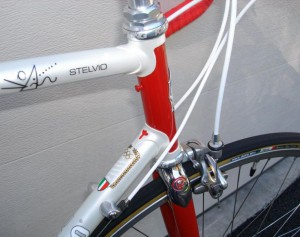 Pinarello Stelvio 5