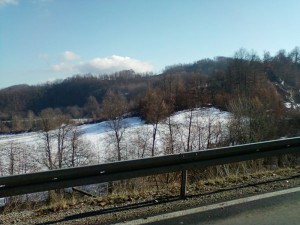 Photo-0049