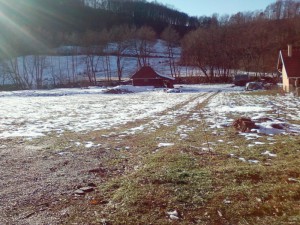 Photo-0057