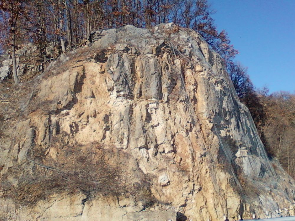 Photo-0058