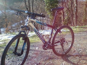 Photo-0060