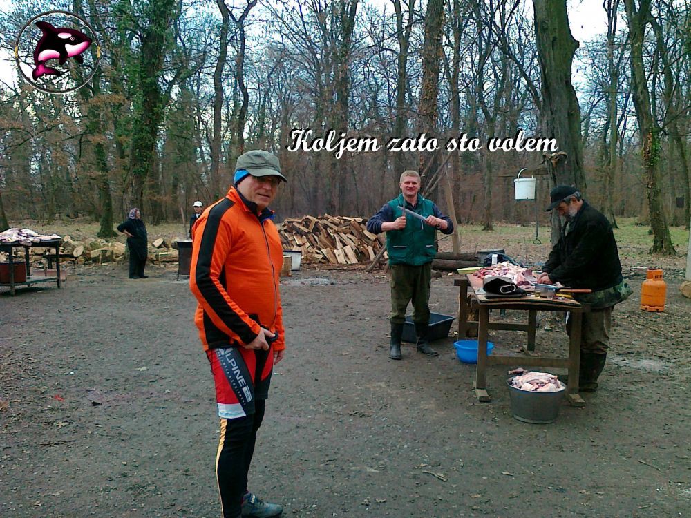 Koljem zato sto volem