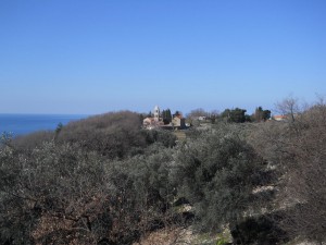 DSCN0845_resize