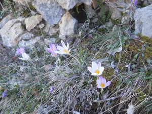 DSCN0922_resize