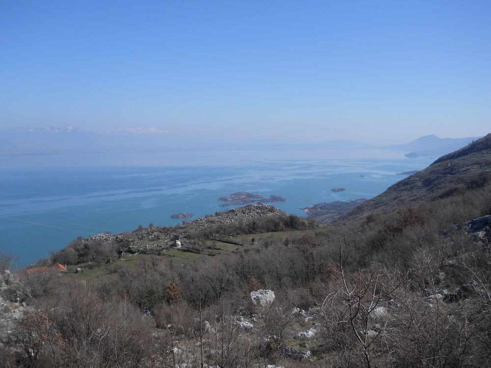 DSCN0924_resize