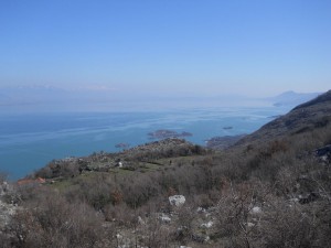 DSCN0924_resize