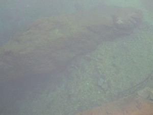 DSCN1098_resize