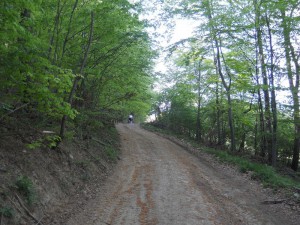 Uzbrdo