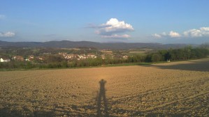 roanda_