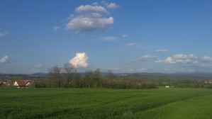 jasenovo