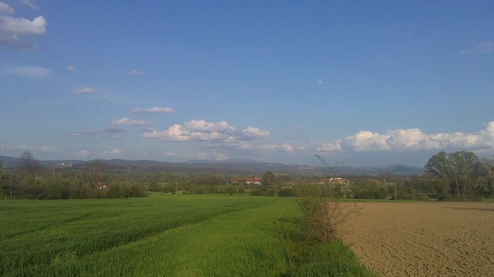 jasenovo2
