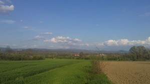 jasenovo2
