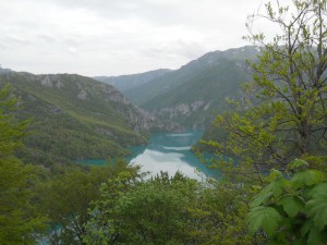 36