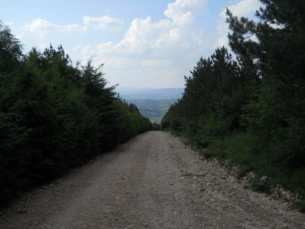 Ka Žagubici