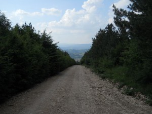 Ka Žagubici