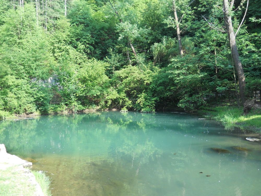 Vrelo