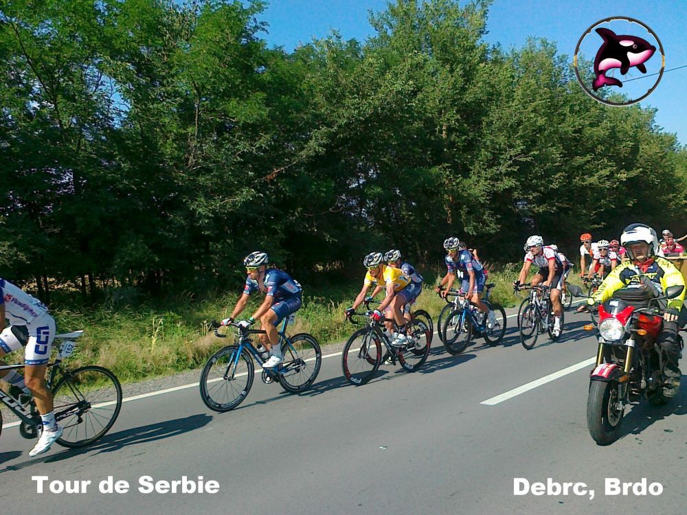 Grupa -STEVIC- Zute Majice