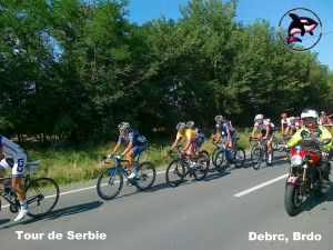 Grupa -STEVIC- Zute Majice