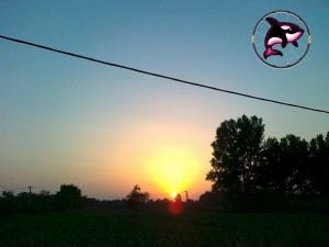 Zalazak 3
