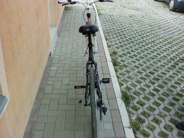 Photo2453