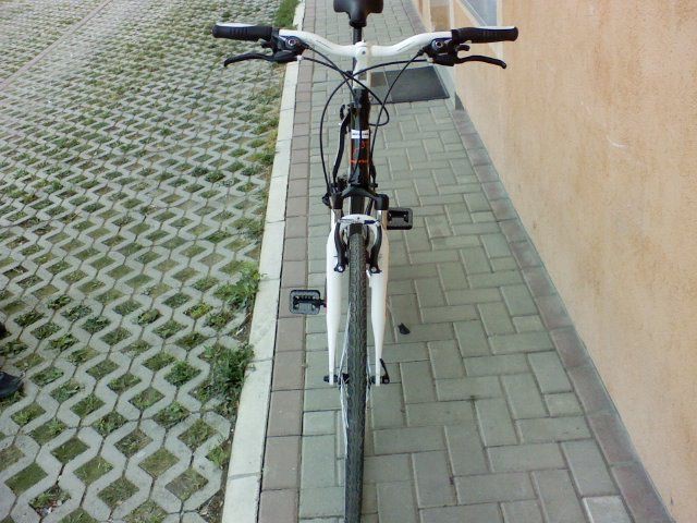 Photo2454