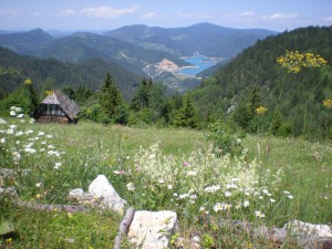 6 Zaovinsko jezero