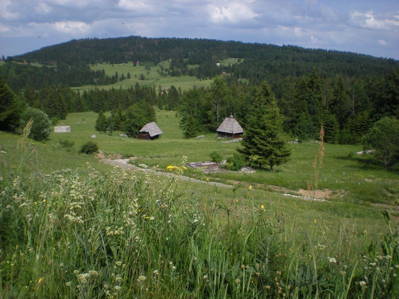 11 blizu Zbori_ta