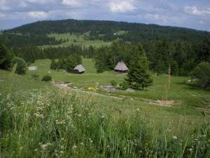 11 blizu Zbori_ta