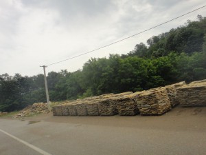 DSC06527