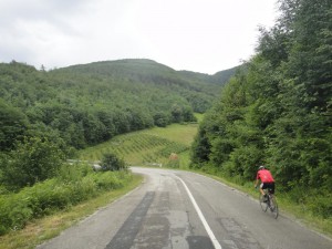 DSC06535