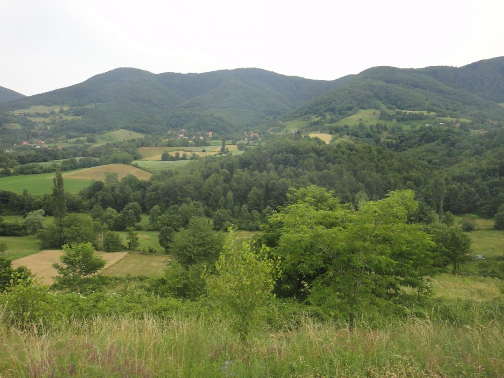 DSC06549
