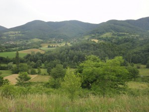 DSC06549