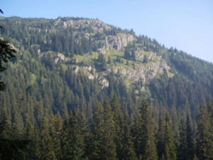 DSCN1160