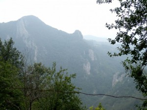Copy of P7070032