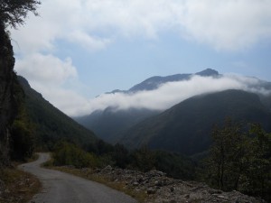 Nizbrdo ka Plužinama