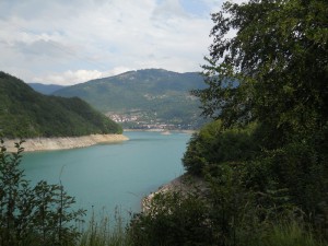 Plužine
