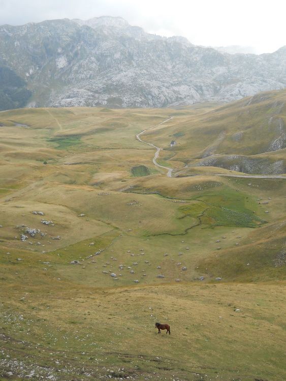 Pored jezera