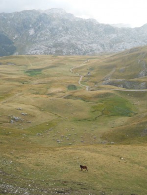 Pored jezera