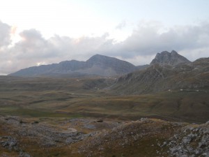 Zhurimi